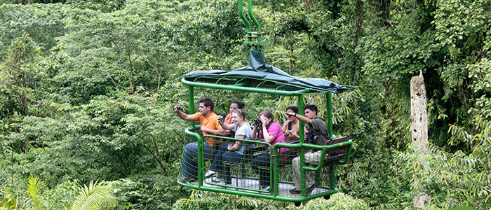 Tour Rainforest Aerial Tram Atlantic Park