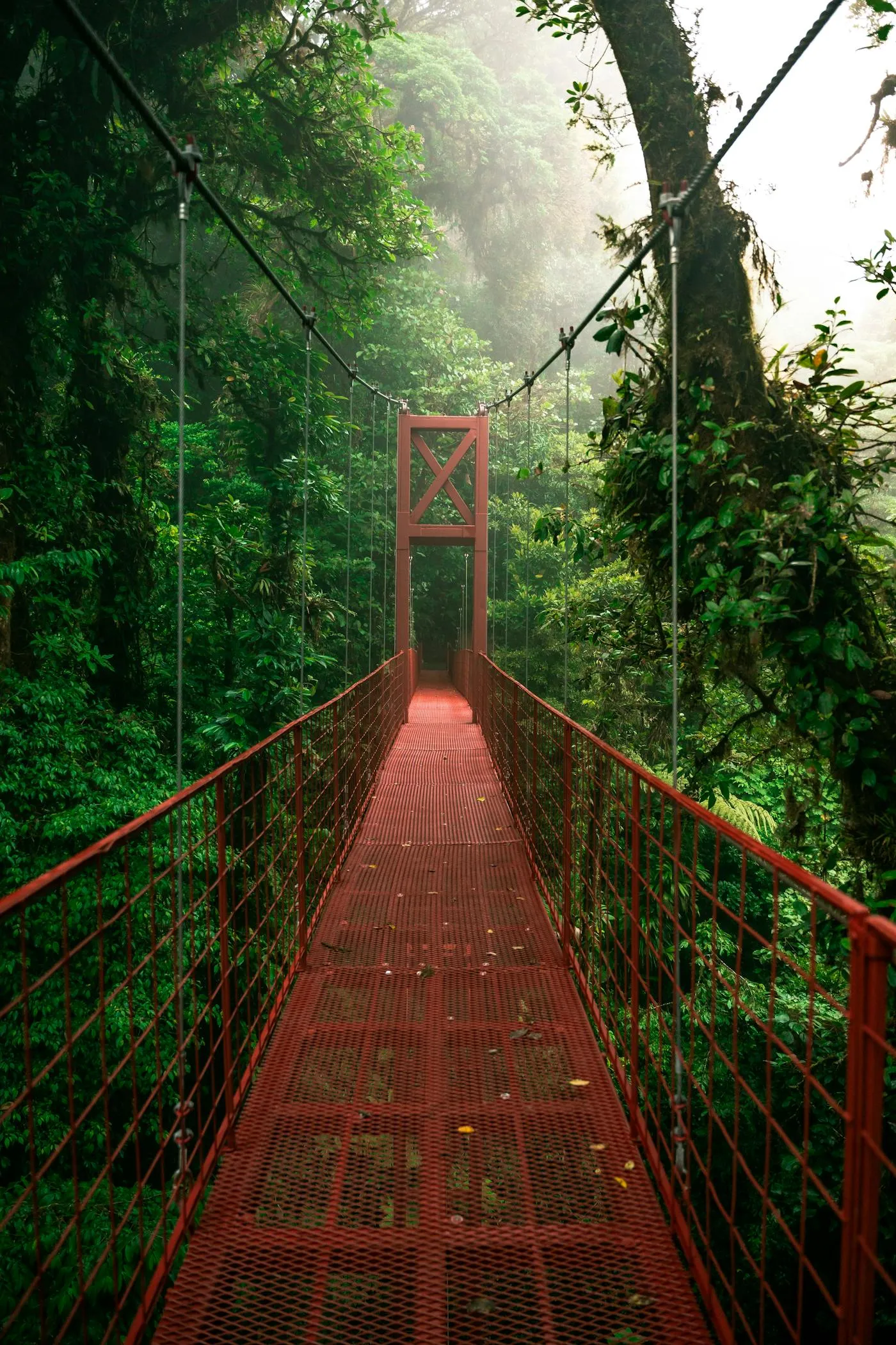 Nature — Costa Rica