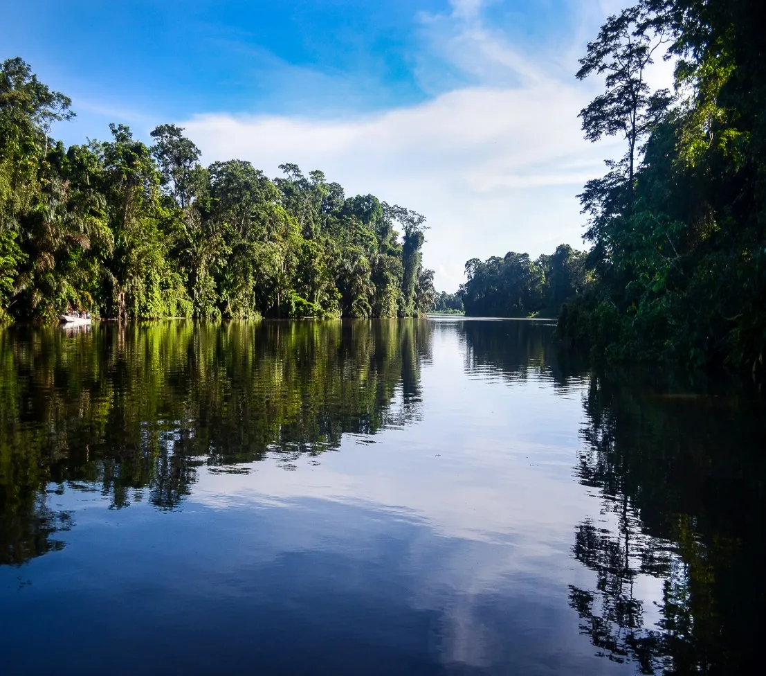 Rainforest canals of Tortuguero